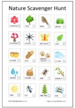 Outdoor Nature Scavenger Hunt Printables + Ideas for Kids