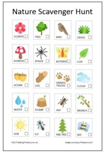 Outdoor Nature Scavenger Hunt Printables + Ideas for Kids