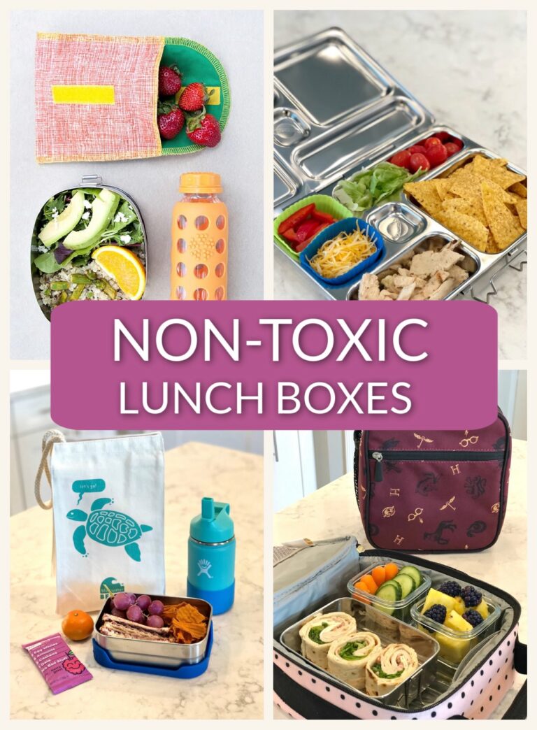 Non Toxic Lunch Gear