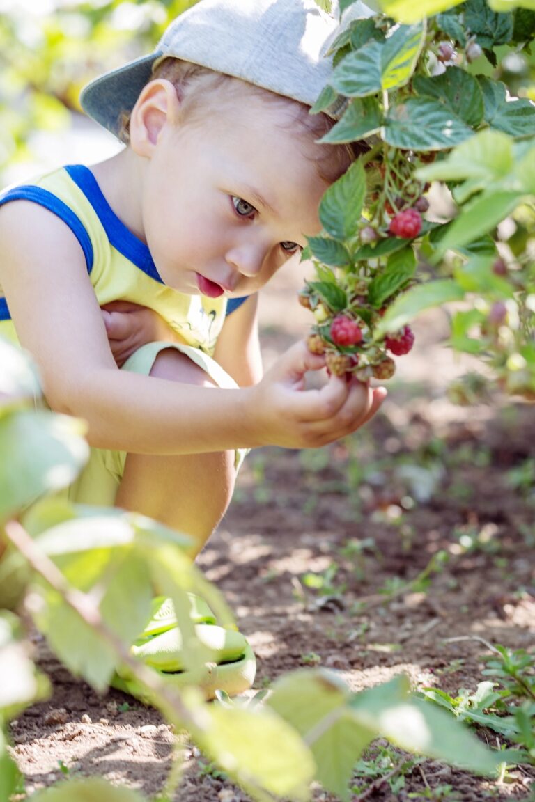 22 Ideas for Celebrating Earth Day with Kids Outside