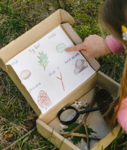 nature scavenger hunt ideas