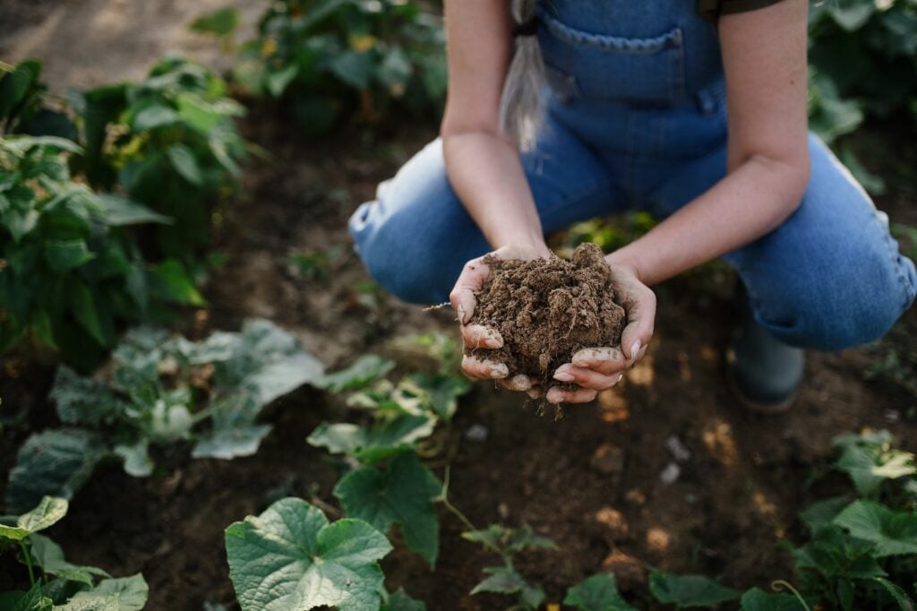 regenerative agriculture