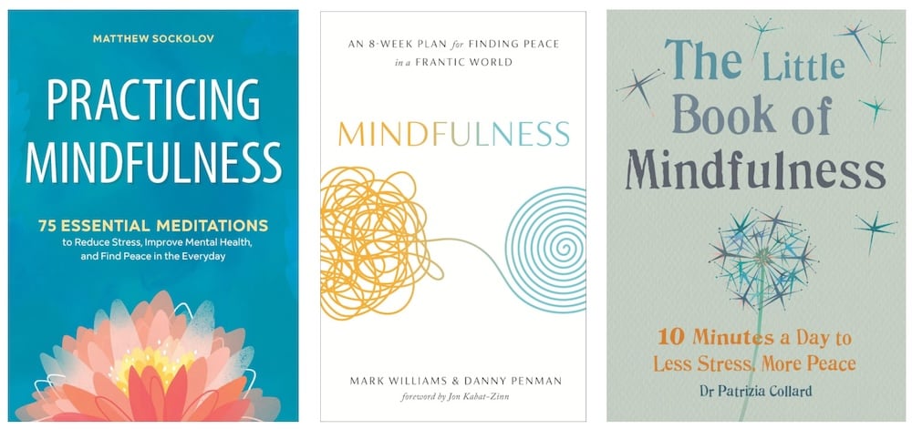 mindfulness books
