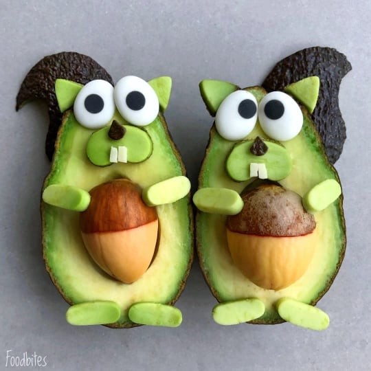 avocado squirrels foodbites