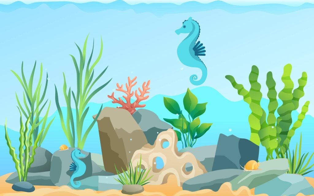 sleepy seahorse meditation